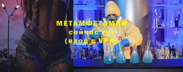 индика Вязники