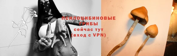 МДМА Снежногорск