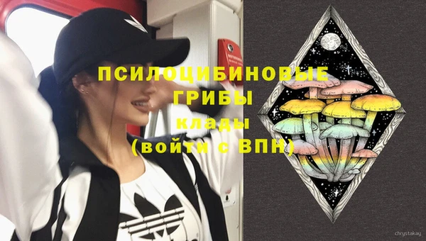 соль ск Пестово