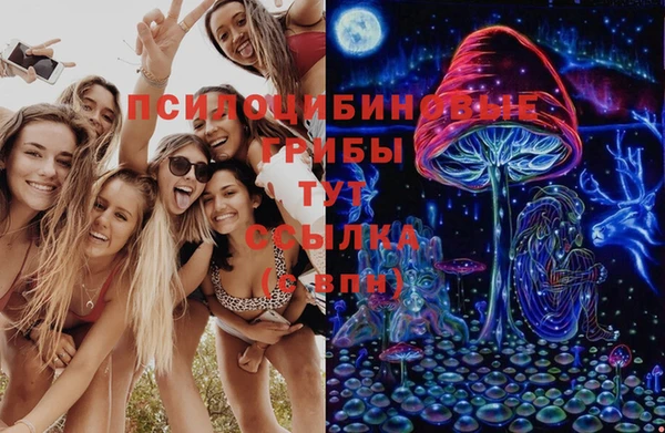 соль ск Пестово