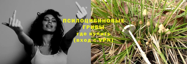 гидра Пересвет