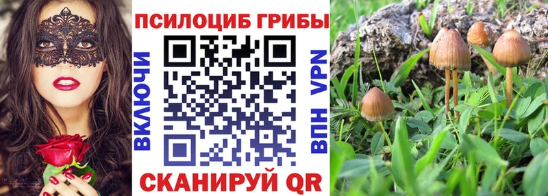 Псилоцибиновые грибы MAGIC MUSHROOMS Слюдянка